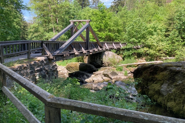 Erleben Sie den Wald Erleben Sie den Wald